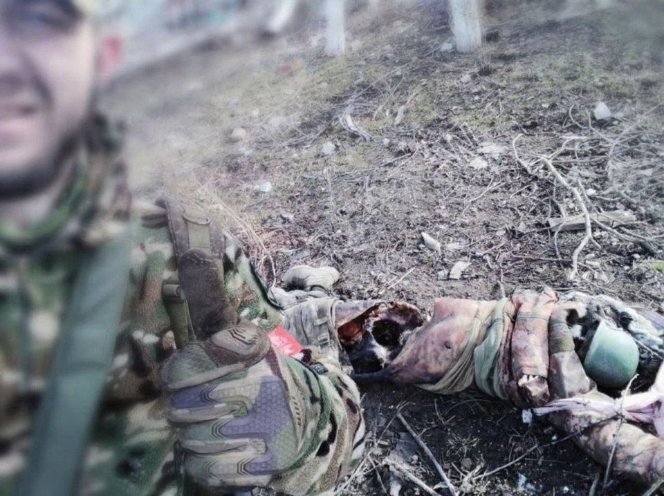 �����. ��������-����� ���������� �������