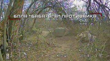 ���� ��������� ������ ���������� ������������ ����� ������ �� �������� ���������� ����� �� �������!