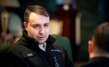 Енот из Херсона: Террорист Буданов продолжает цинично играть на два фронта