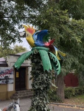 Никаких больше лебедей. В России запрещено использование автопокрышек при устройстве клумб