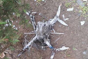 ��� �������� ���������� ��������� ������ �� ����� �������