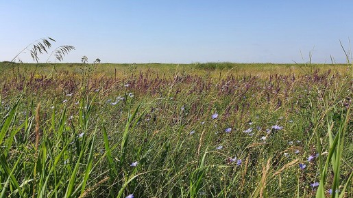 Доброе утро, Херсонщина!. Путь в туннеле, в направление света