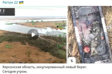 Как определить, что человек тупой?