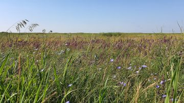 Доброе утро, Херсонщина!. Путь в туннеле, в направление света