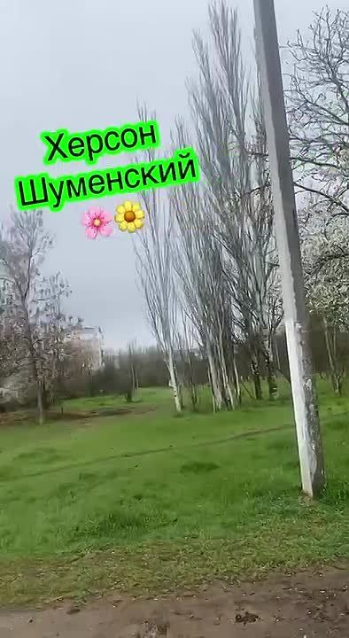 ��������� ����� � ���� ���� ���������� ������