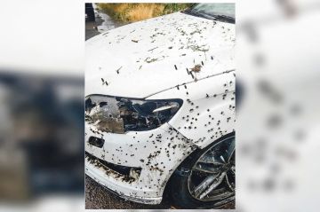 ������, ����� �� ������ � ������: ��� ������� ���������� �������� �������� �� ������ � ���� ������� ��� ������� �����