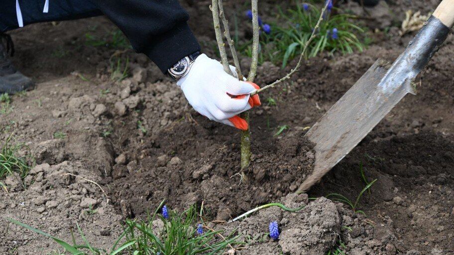 ��������� � ����� �������� � ���������� �����