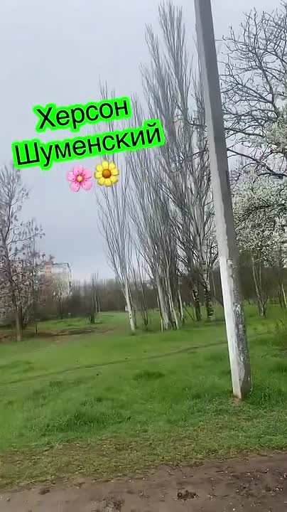 Доброе утро, весенний Херсон
