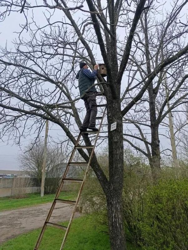 ���������� ������������� ��������������� ��������� ��������� �������� ��� ��������� ��������������� ���������� �������