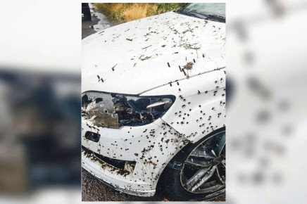 ������, ����� �� ������ � ������: ��� ������� ���������� �������� �������� �� ������ � ���� ������� ��� ������� �����