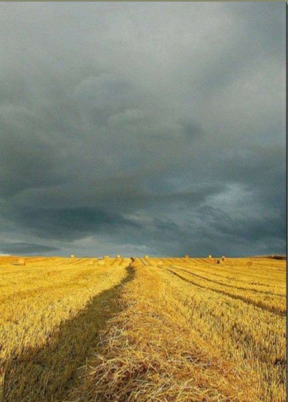 Доброе утро, Херсонщина!. В степи под Херсоном есть в мареве сонном кружащая голову грусть Доброе утро, Херсонщина!. В степи под Херсоном есть в мареве сонном кружащая голову грусть