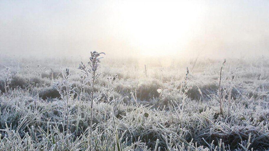 � ���������� ������� ��������� ��������� �� -3�