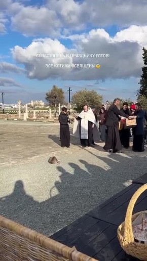 В Севастополе батюшка во время освящения пасхальных куличей первым делом освятил котика, который тоже пришёл на службу