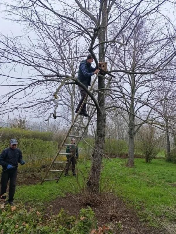Сотрудники Новотроицкого лесоохотничьего хозяйства развесили дуплянки для поддержки биоразнообразия Херсонской области Сотрудники Новотроицкого лесоохотничьего хозяйства развесили дуплянки для поддержки биоразнообразия Херсонской области
