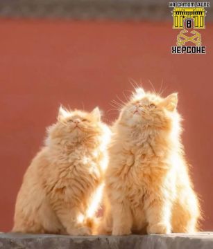 ������, ��������� ������� ���������! 0-3�� ������� ��� ������ ����� � ����� �� ����������, � ������ ����������� ����� �������� ����� � �������� ��������� �������� �����