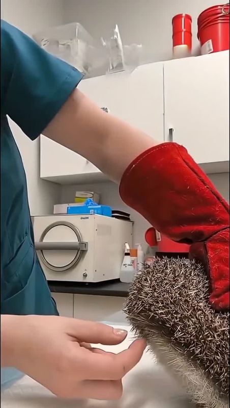���, �������� ����, ������ ��� ����� �� ����� � ����� � ��� ������ ��������