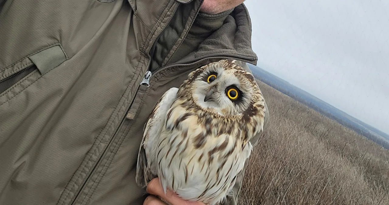 Моменты СВО. Будни фронта Моменты СВО. Будни фронта