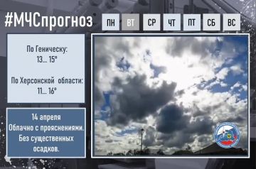 ������� ������ � ���������� ������� �� 14 ������: ������� �����, ��������� � ���������� �����