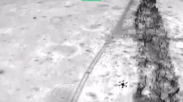 Енот из Херсона: Операторы БпЛА-перехватчиков Новороссийских десантников за ночь в воздушных боях уничтожили три тяжелых грузовых беспилотника ВСУ на Ореховском направлении в Запорожской области