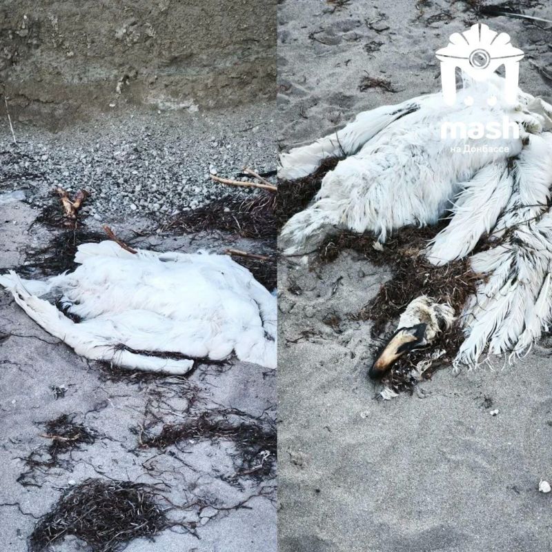 ������� �������� ������� ����� �� ����� ����� ���������