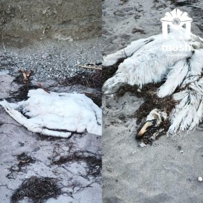 ������� �������� ������� ����� �� ����� ����� ���������