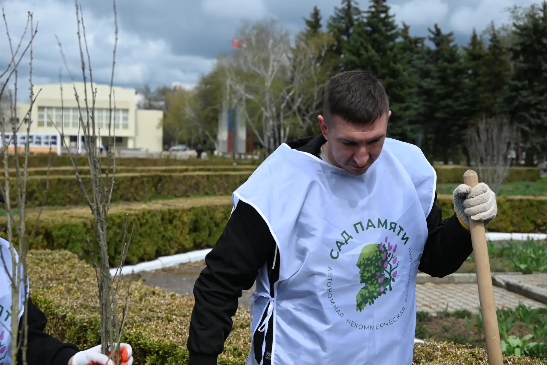 Цветущая память: 50 гибискусов высадили в Чаплинском парке Цветущая память: 50 гибискусов высадили в Чаплинском парке