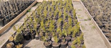 ���������� ������ �������� ����������� ���������� ����������� ��������