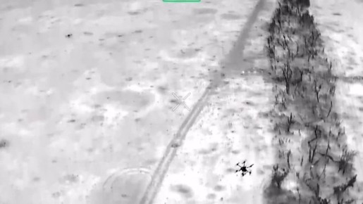 Енот из Херсона: Операторы БпЛА-перехватчиков Новороссийских десантников за ночь в воздушных боях уничтожили три тяжелых грузовых беспилотника ВСУ на Ореховском направлении в Запорожской области