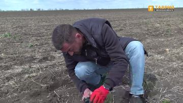 ������� ���������� ������� ���������� � ���� ��������� �������