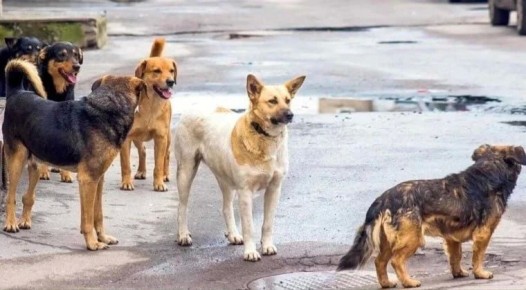 � ������������� ������ ������������� ������ ������ ������� ������������� ��������