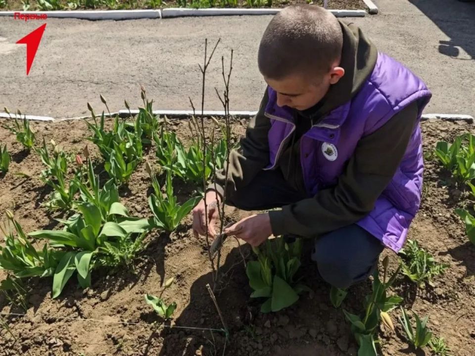 Первые Благодатновской школы присоединились к акции «Сад памяти» Первые Благодатновской школы присоединились к акции «Сад памяти»