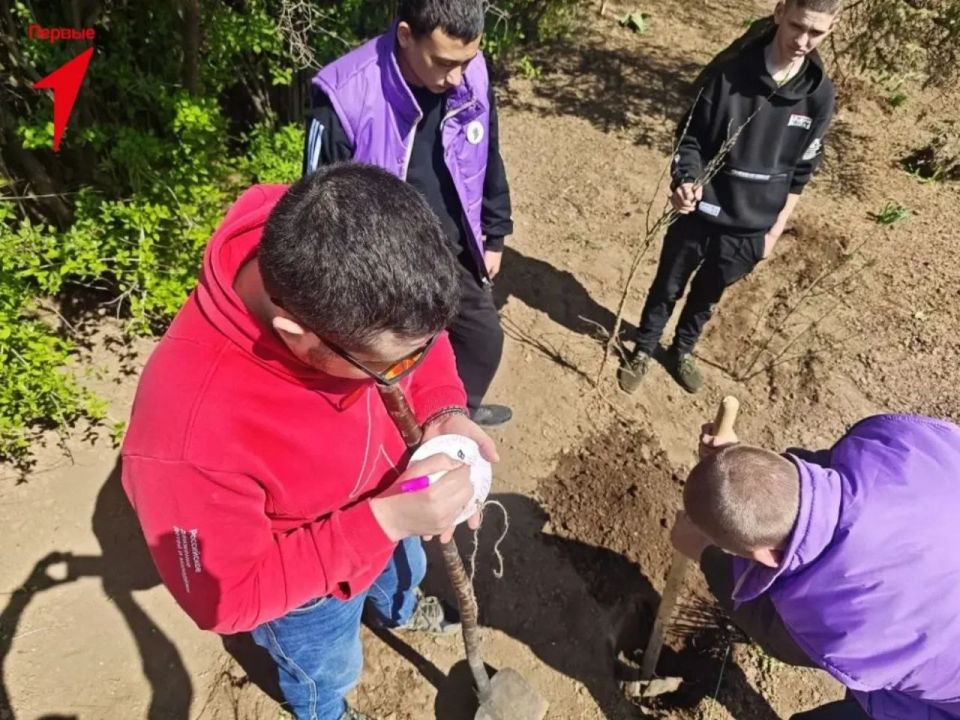 Первые Благодатновской школы присоединились к акции «Сад памяти» Первые Благодатновской школы присоединились к акции «Сад памяти»