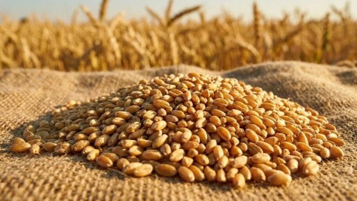 � ���������� ������� ������������� ���� �� ���� ������ �������