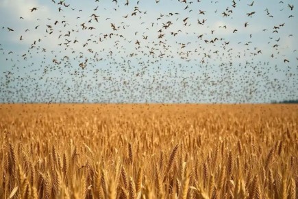 �������� ����� � ���������� �������: ������ ��������� ������� �� ��������