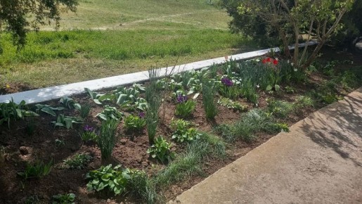 �������� ��������� ������� ������������ ���� ����������