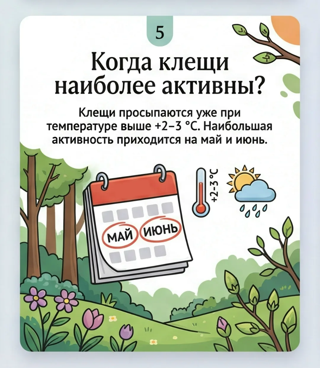 Что важно знать о клещах. В теплый период возрастает риск встречи с клещами Что важно знать о клещах. В теплый период возрастает риск встречи с клещами