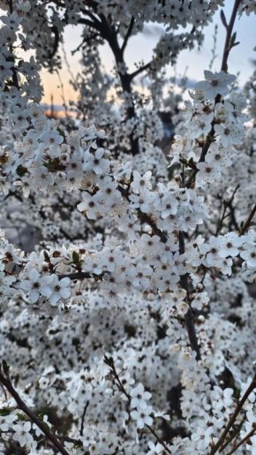 � ������ �����, ������! � ����� ������� ����!