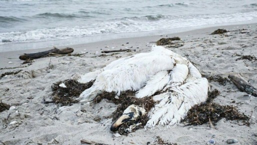 ���������� �������� �������� �� ����� ������ ������� � ���������