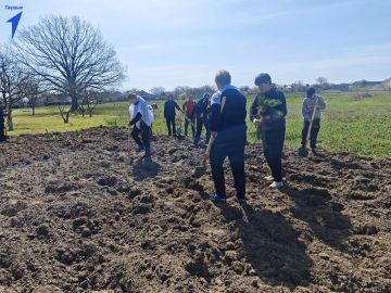 ������ ������������ ����� ������� ������� � ����� ���� ������