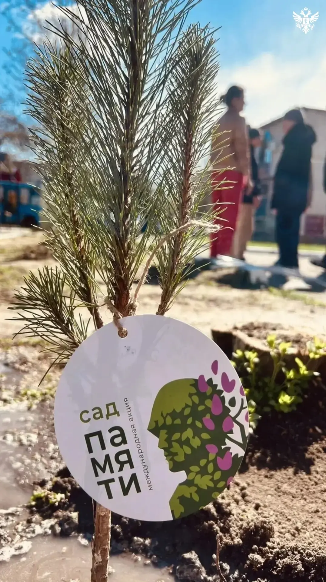 В Херсонской области сотрудники и воспитанники детского дома-интерната присоединились к акции «Сад памяти» В Херсонской области сотрудники и воспитанники детского дома-интерната присоединились к акции «Сад памяти»