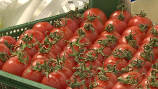 ���� �� �������� ���������� � ������������� ���������