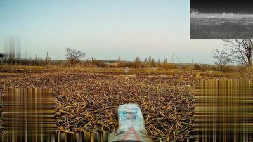 Фирменная вертушечка с обманочкой не оправдала надежд