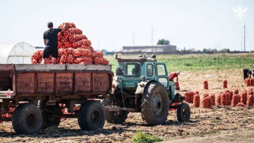 ����� 572 ���. �������� ������ ������� � ������� � ��������� ���� ���������