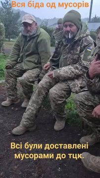 Охрененный набор в ВСУ, видать из последних, кто еще ногами передвигает по земле