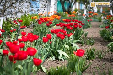 � ���������� ������� ������� ��������