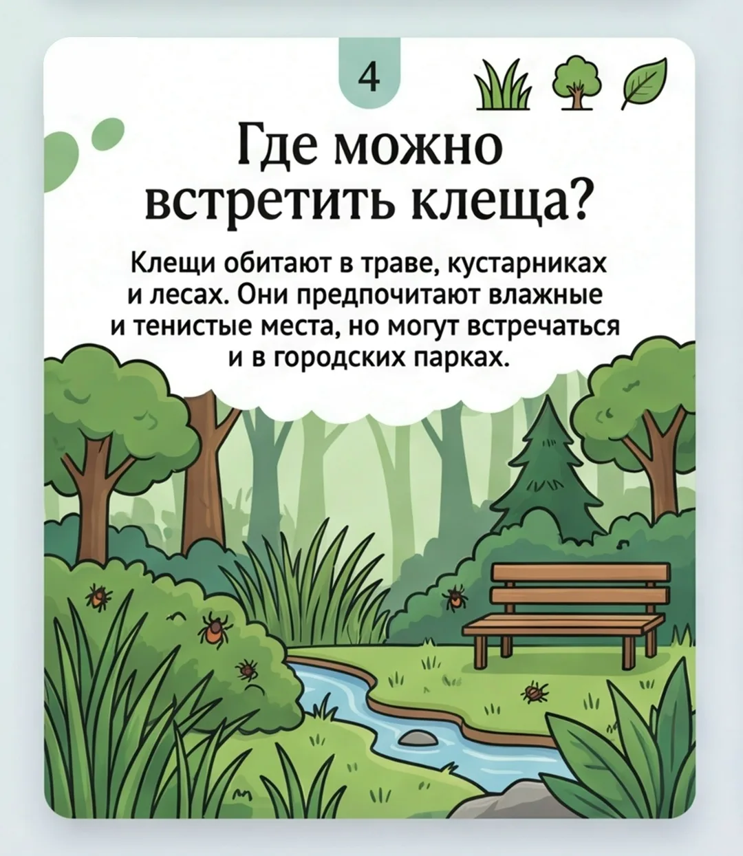 Что важно знать о клещах. В теплый период возрастает риск встречи с клещами Что важно знать о клещах. В теплый период возрастает риск встречи с клещами