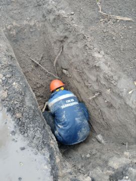 ����������� ������������������ ��� ���������� ������ �� ������������ � ������� ������������ ��������������