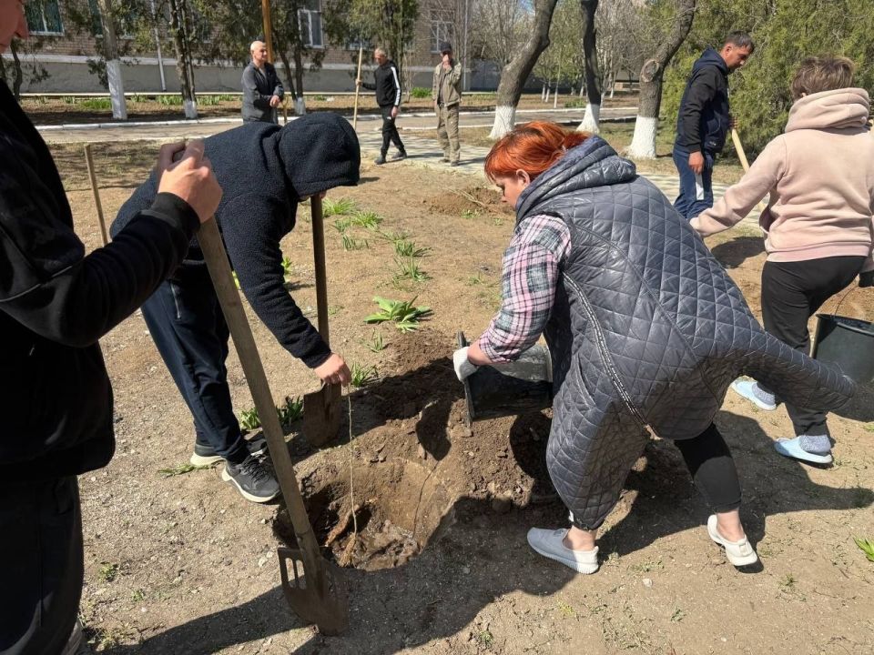В Нижнесерогозском округе высадили 700 деревьев в рамках акции «Сад памяти» В Нижнесерогозском округе высадили 700 деревьев в рамках акции «Сад памяти»