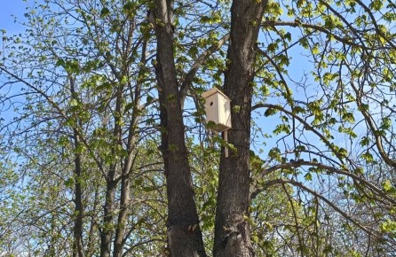 � ����������� ����� �������� ������ ����� �� ��������� ������������