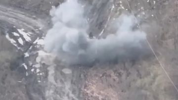 ���� �� �������: � ���� ��������� ������ ������� ���������� ���� ��������������� ������������ ������� ���������� ��������-��������� ����� ������� ���������� ���������, � ������� ������� ��������� ������ ������ ���